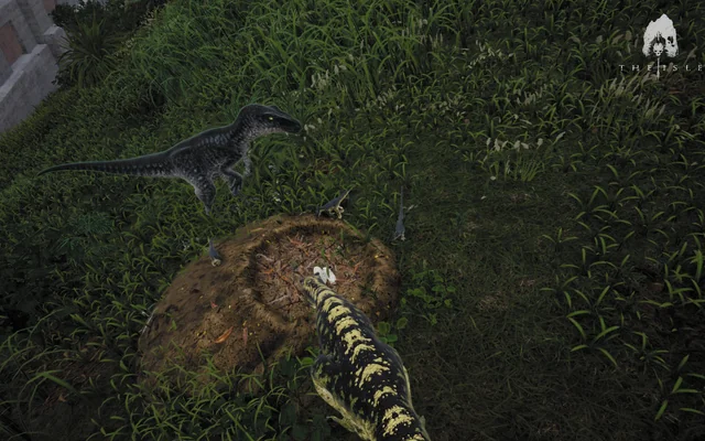 A built nest in The Isle: Evrima with parent sitting on it