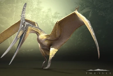 Pteranodon